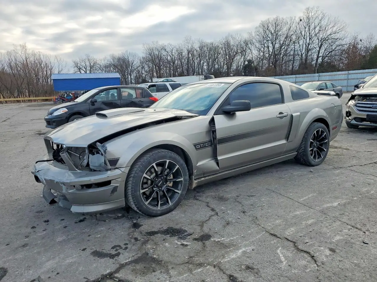 2009 FORD MUSTANG