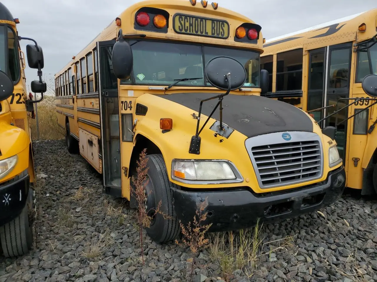 BLUE BIRD ALL MODELS 2009. Lot# 86339335. VIN 1BAKGCPA79F266950