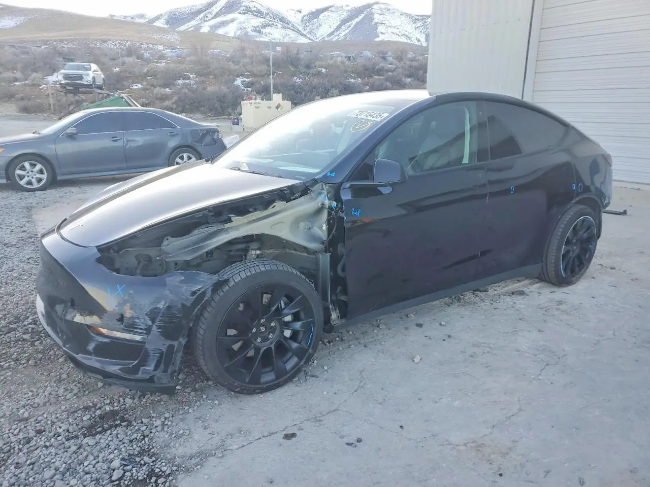 2020 TESLA MODEL Y