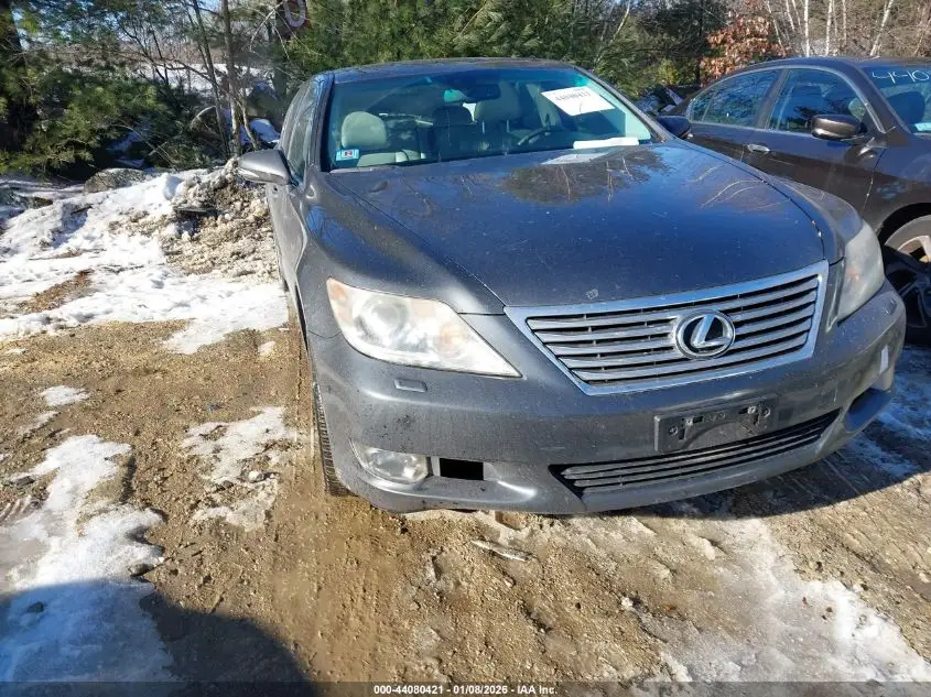2010 LEXUS LS 460